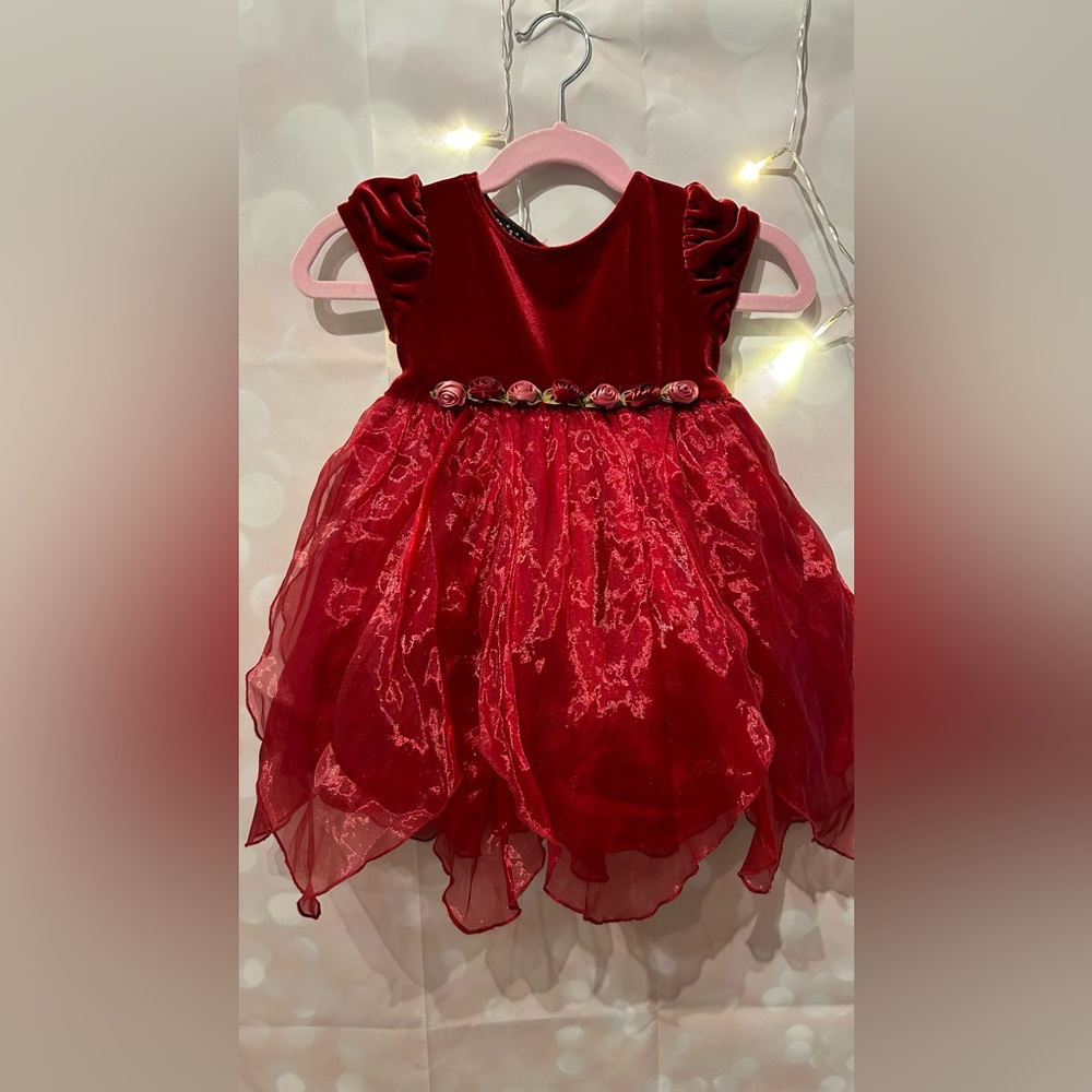Christmas Dress 12 Months Red Flowers Petticoat